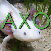 aksolotl.jpg