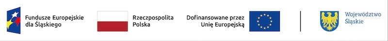 FE_SL_kolor_poziom_br-1-kopia_maly.jpg