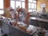 Photo Number 5