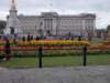 Photo Number 7