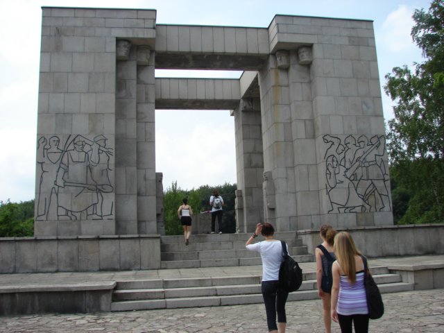 Photograph